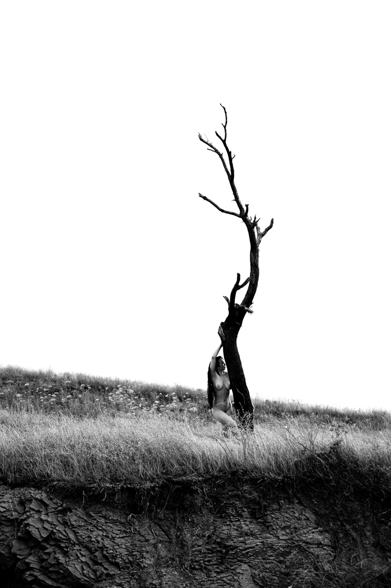 Where the Body Dissolves