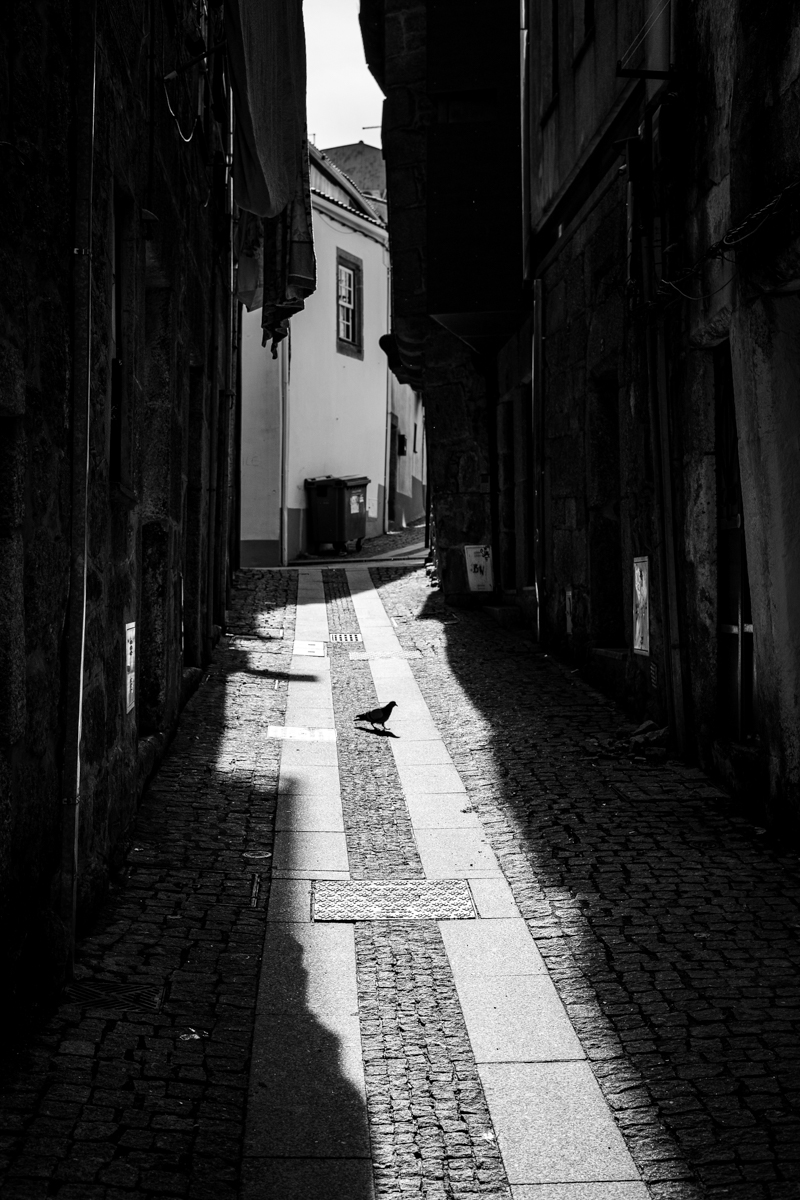 City centre in Black and White