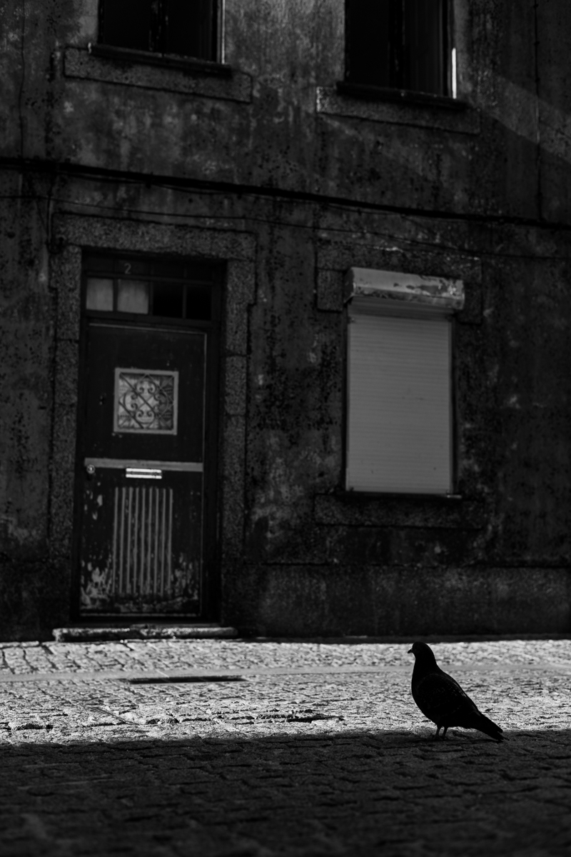 City centre in Black and White