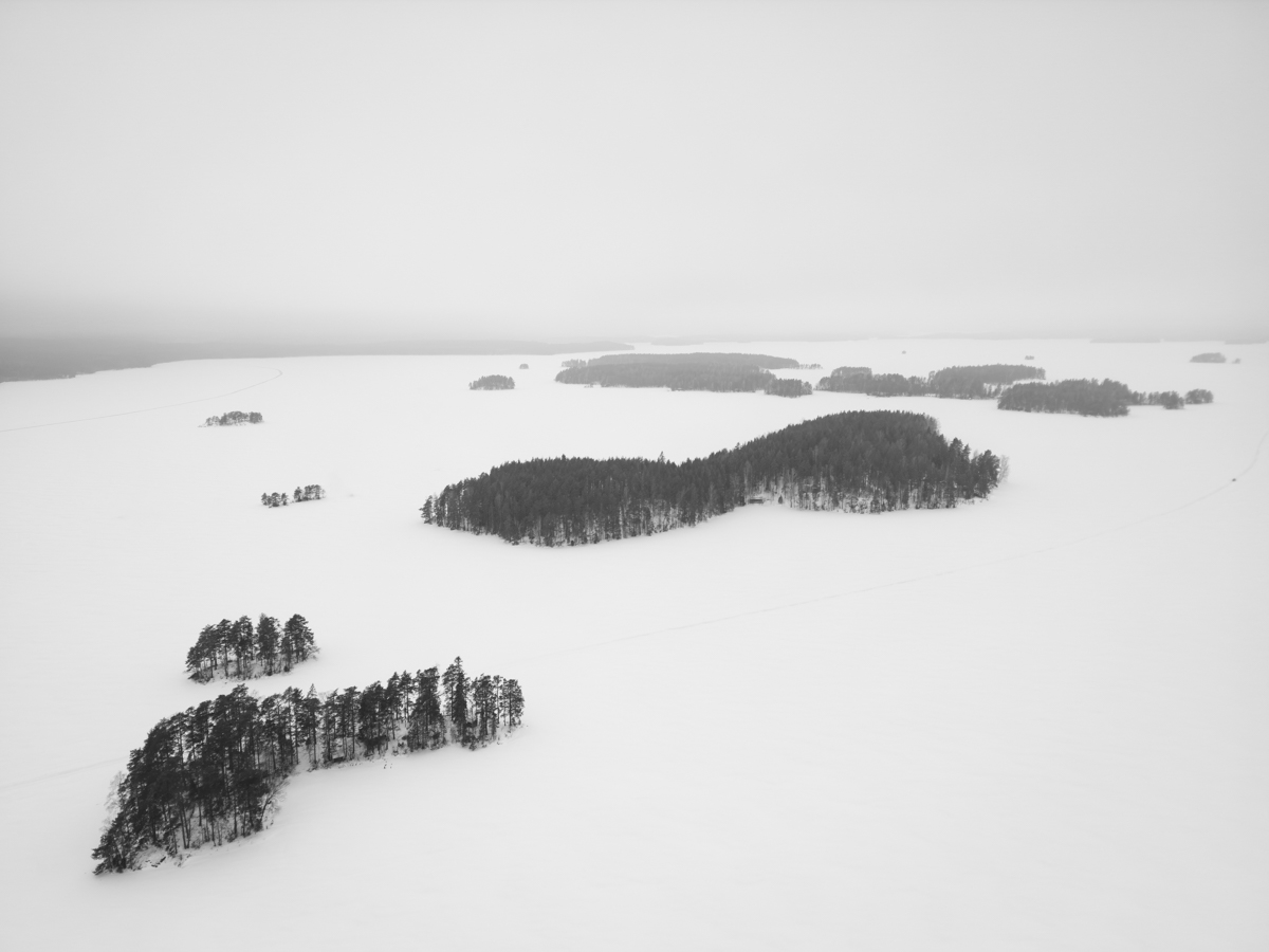Frozen Landscape