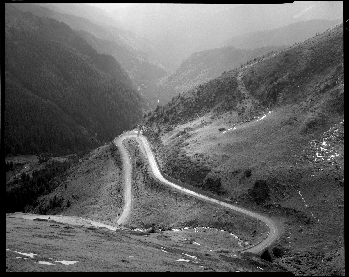 A Long Way Home