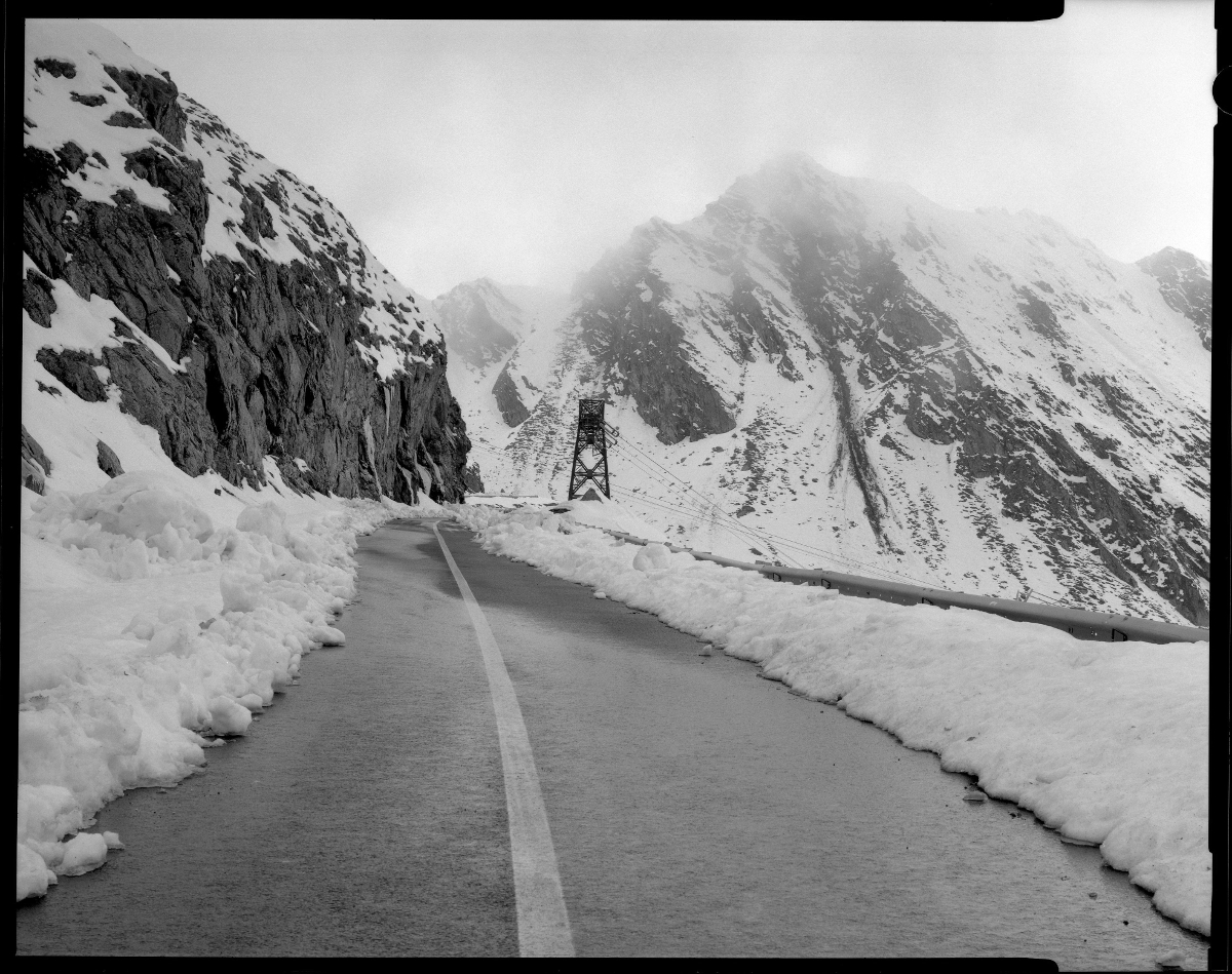 A Long Way Home