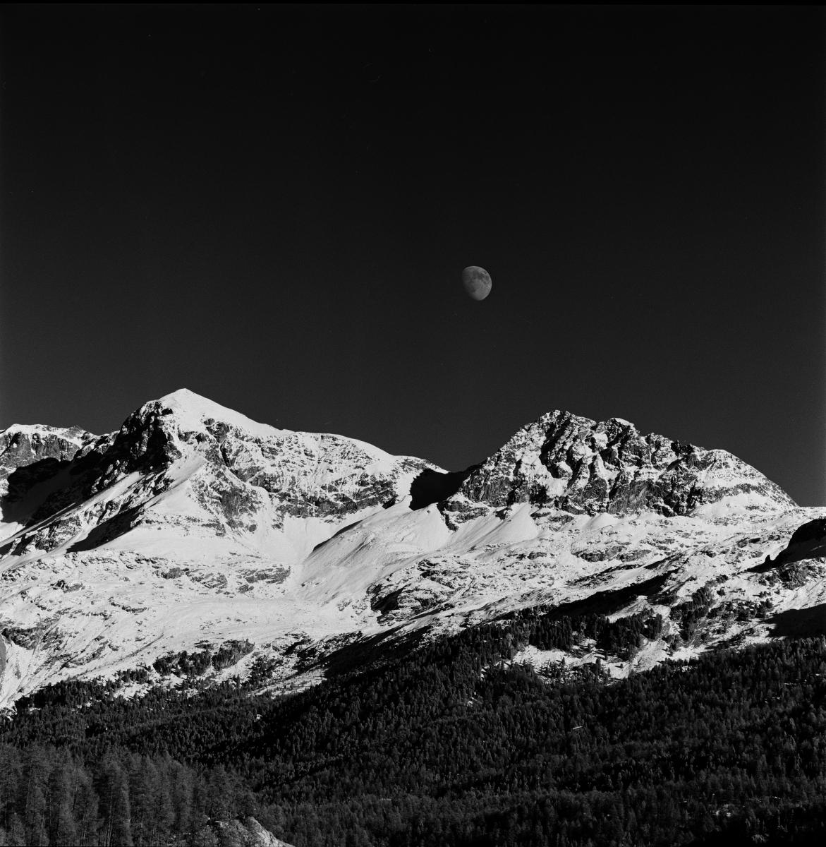 Silvaplana last light