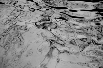 Water branches