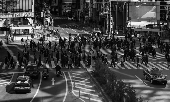 Shibuya Crossing 