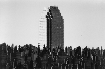 The City View