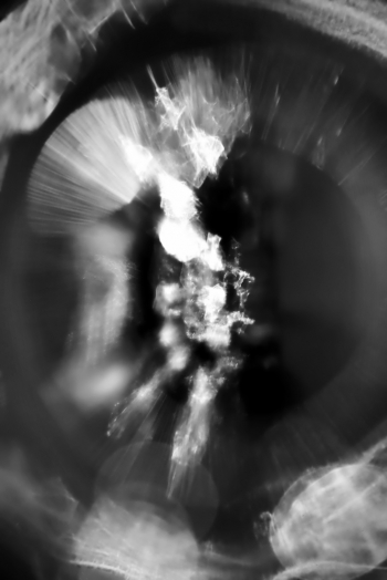 Sentient