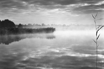 Black lake