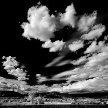ombre di luce_19