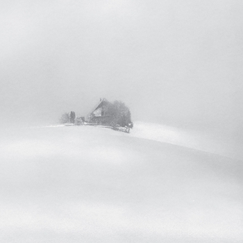 Living in the fog