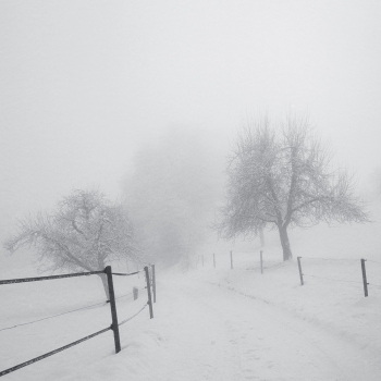 way of fog