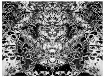 WonderLand Series
