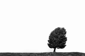 VIDE DE...