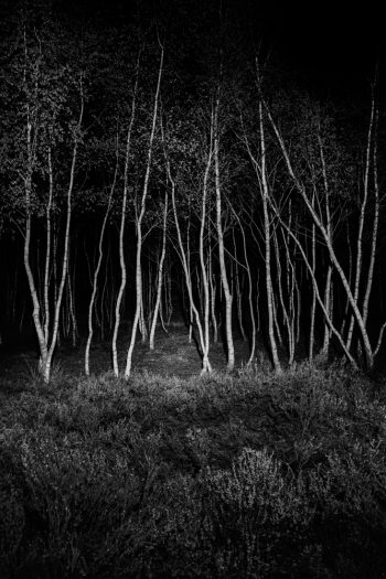 Durch die Nacht (Through The Night)