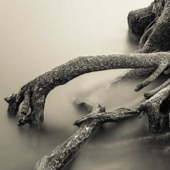 Near River