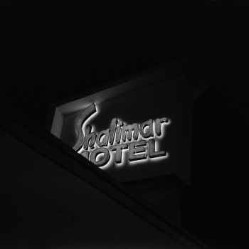 Nocturnal Animals