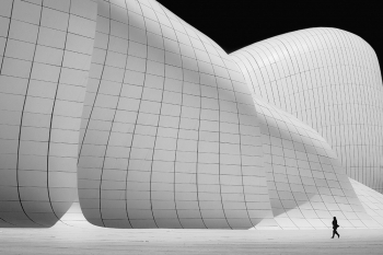 Geometry of life