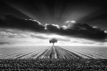 lonelyness
