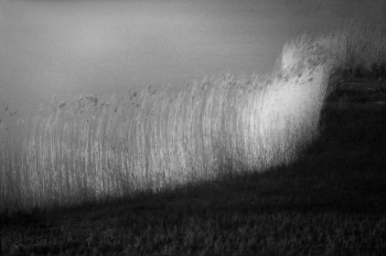 Resonance #20140329