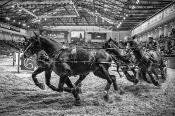 Cavaliada 2017 in Warsaw