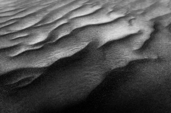 Dark Waves
