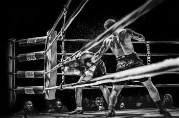 Knockout