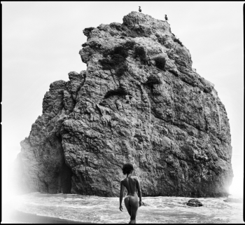 SALT + SEA