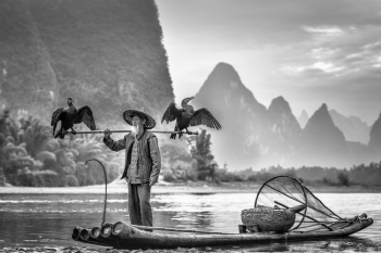 Cormorant Fisherman