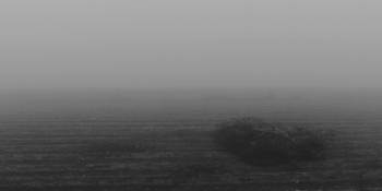 Fine Dust PM2.5/AIRPOCALYPSE