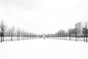 In The White