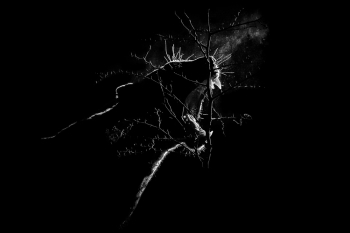 Prince of Darkness