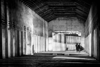 Tunnel of shadows