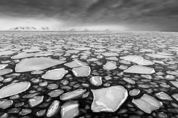 Arctic Ice