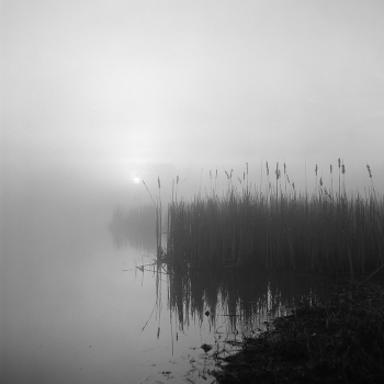When morning comes around