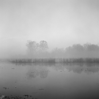 Sounds of morning