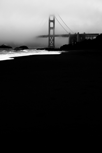 In the Fog 