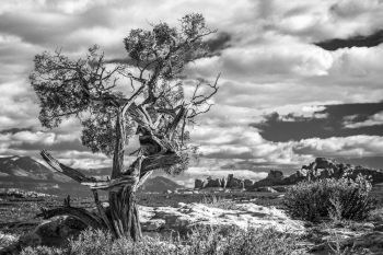Ancient Overlook