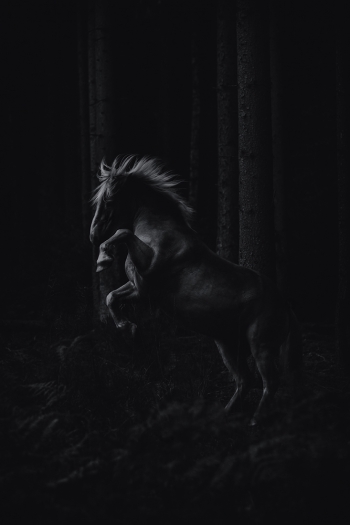 Out of the dark