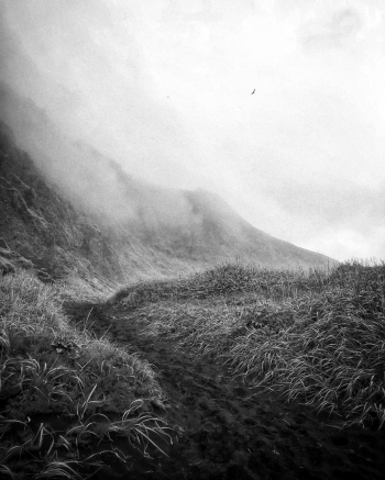 Through the Mist