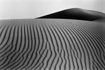 DESERTS: MY CANVASS