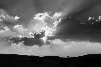 Touched by Divinity