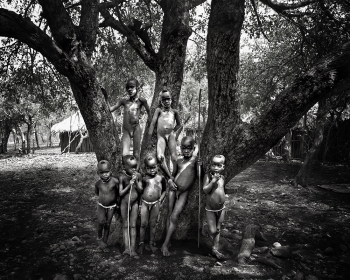 The Tribal Tree