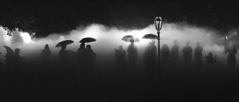 Walking in the Fog