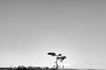 Horizons Terre
