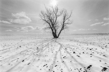 ShadowPlay