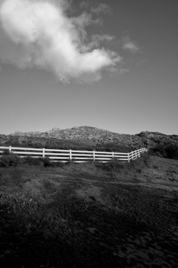 Hard Light: Visions of Southern California