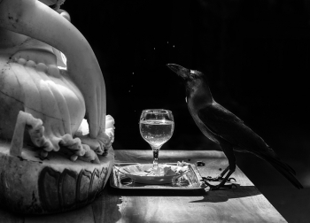 Raven and Buddha