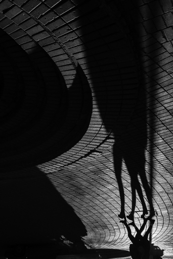 shadowshadow