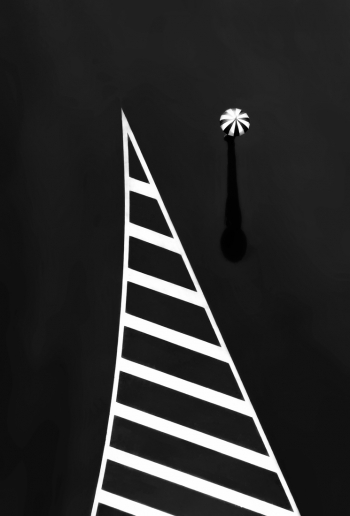 lines