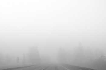 Scene of silence